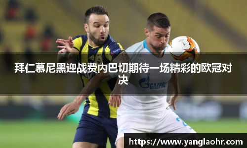 球速体育官网入口