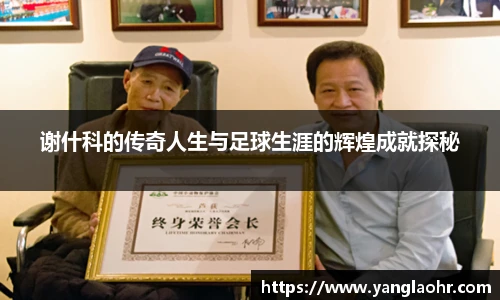 球速体育官网入口